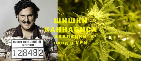 тгк Вяземский